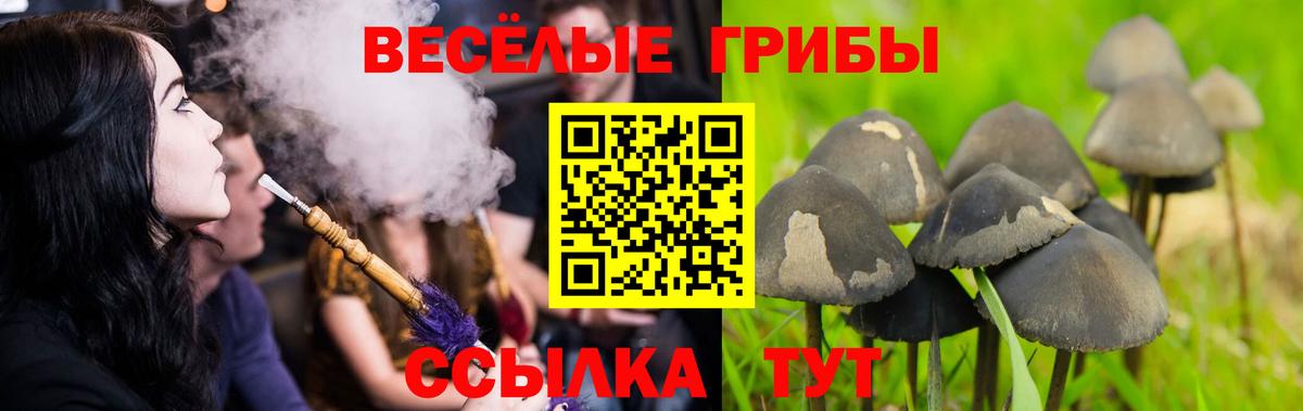 Псилоцибиновые грибы прущие грибы Кропоткин