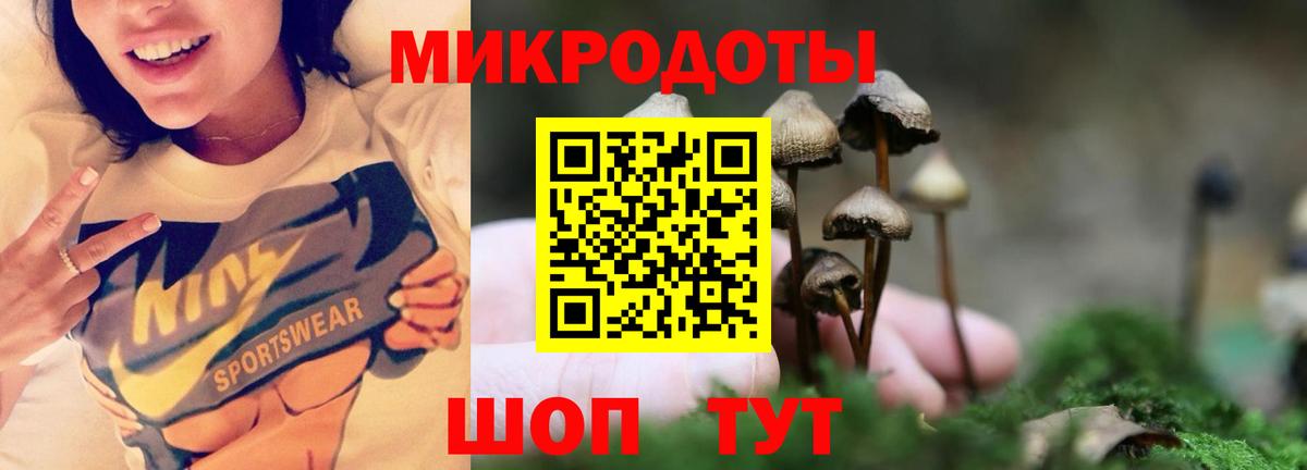 Кропоткин  Галлюциногенные грибы Magic Shrooms  Вход с VPN  Псилоцибиновые грибы GOLDEN TEACHER 